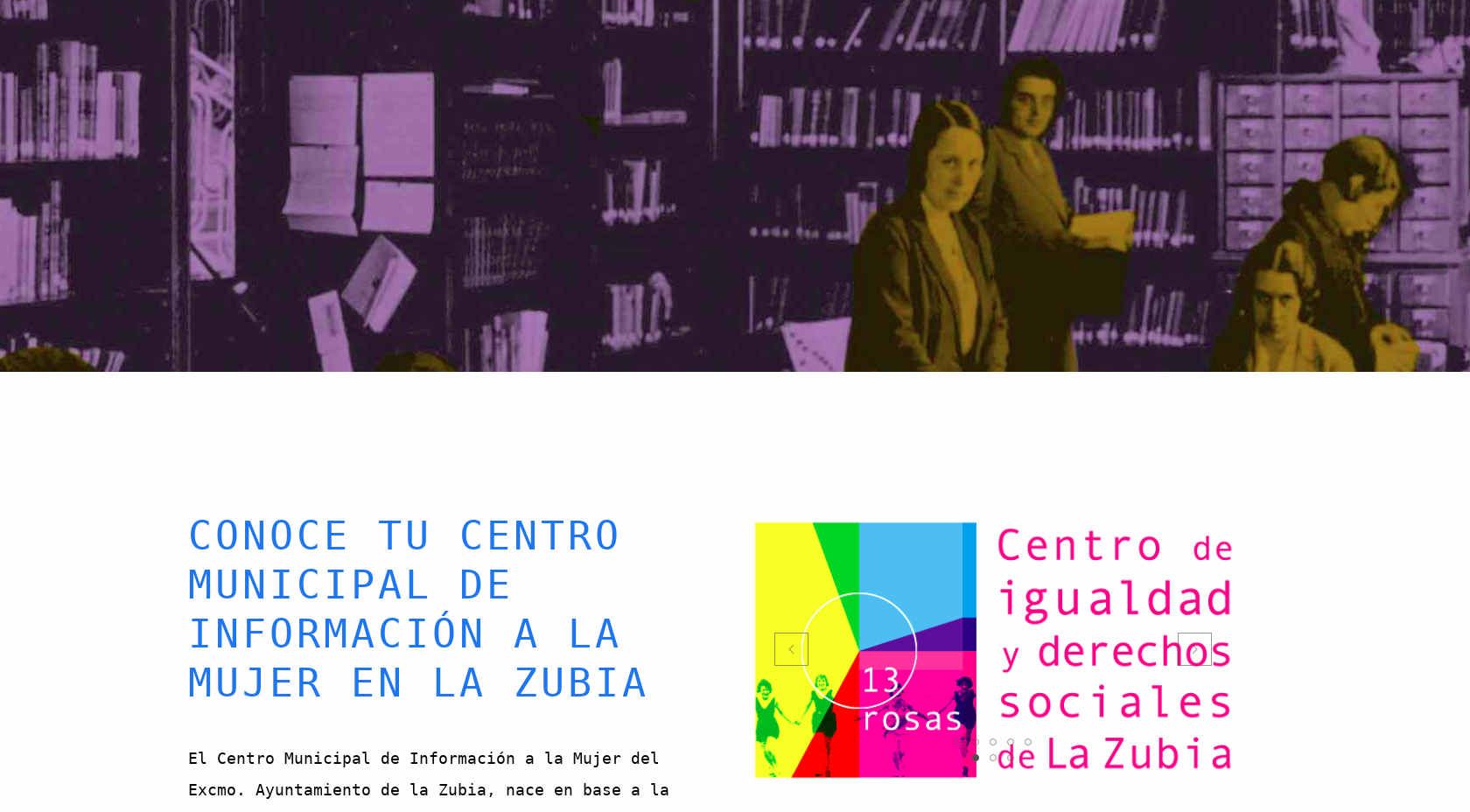 Diseño Web Centro de Igualdad La Zubia