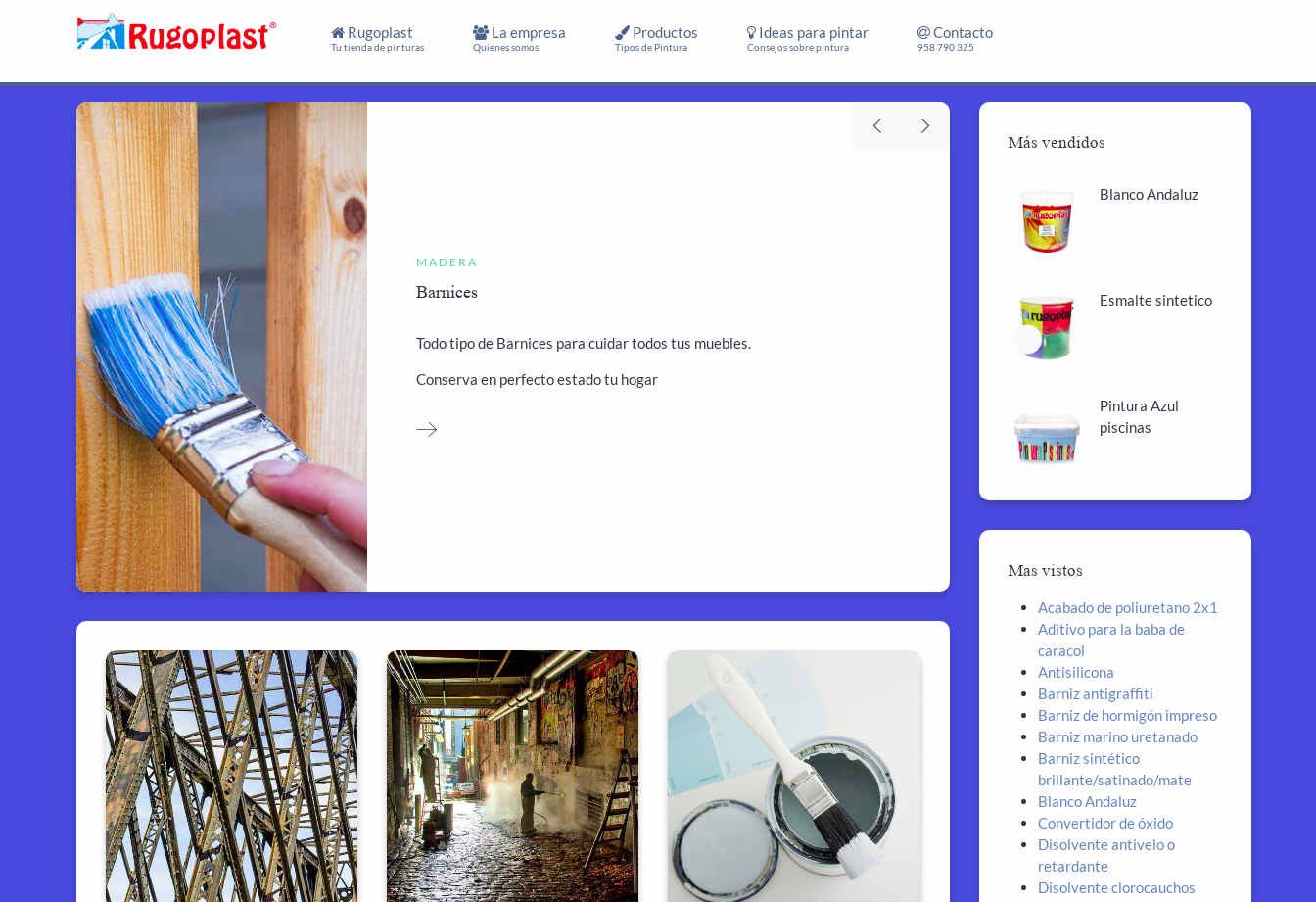 Diseño Web Empresa Fabricante de pintura