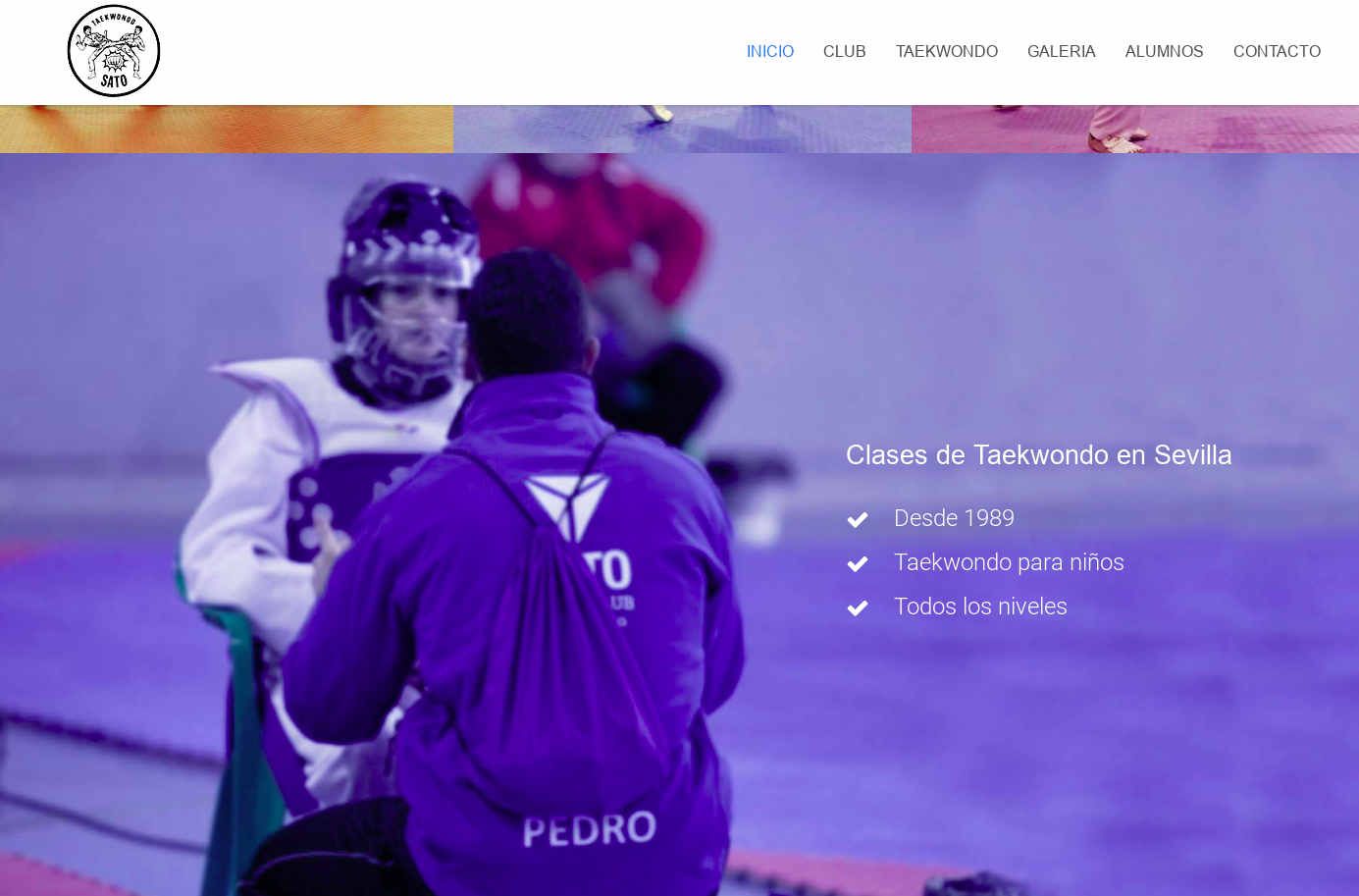 Posicionamiento Web Escuela de Taekwondo