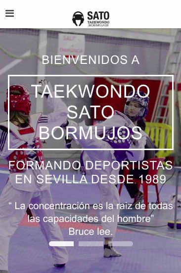 Posicionamiento Web Escuela de Taekwondo